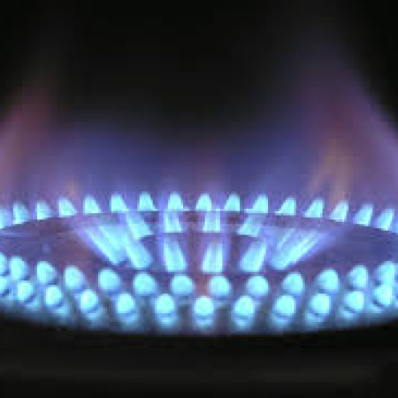 La ola polar disparó el consumo de gas y casi 150 empresas se quedaron sin suministro